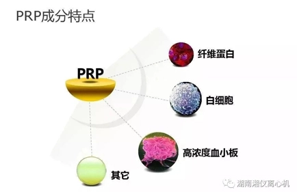 [Science Popularization] PRP Autologous Serum Beauty