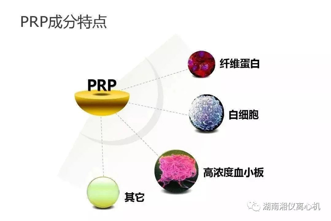 【Science Popularization】 PRP Autologous Serum Beauty